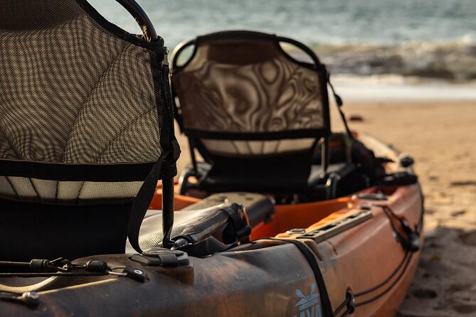 Tamarindo Estuary: Kayak Monkey Tour - Good To Know