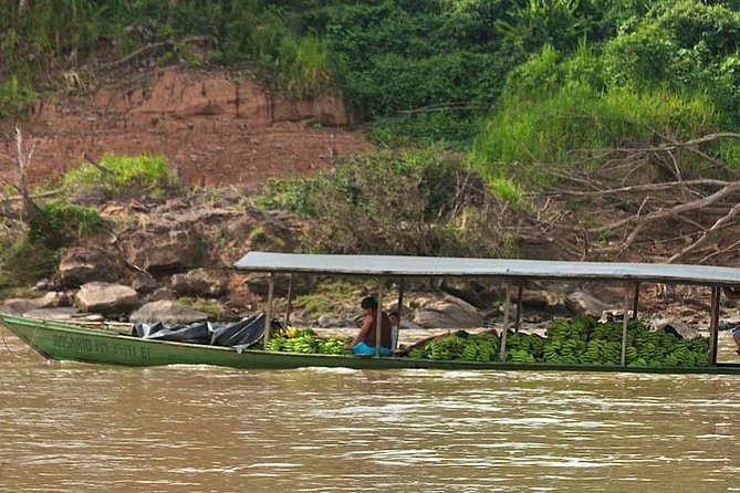 Tambopata National Reserve: Jungle and Adventure 4 Days - Good To Know