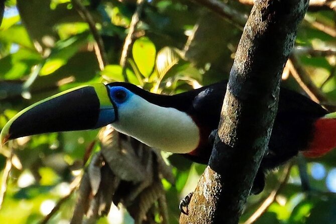 Tambopata Reserve Excursion 3D - 2N From Cusco - Good To Know