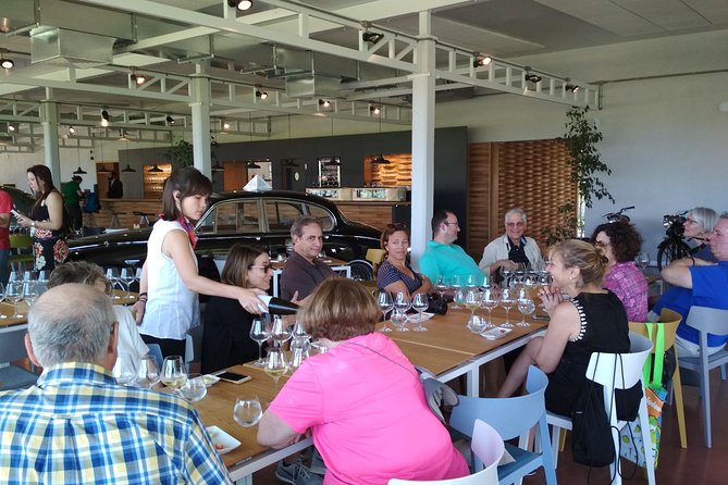 Tannat & Other Wines Tour With Classic Cars Museum - Good To Know