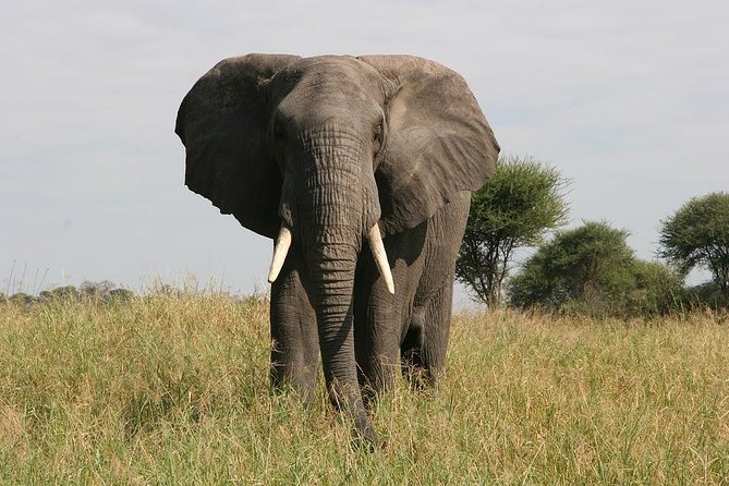 Tarangire National Park - Good To Know