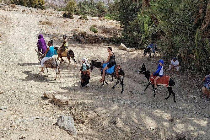 Taroudant & Tiout Excursion From Taghazoute Bay & Agadir - Itinerary Overview