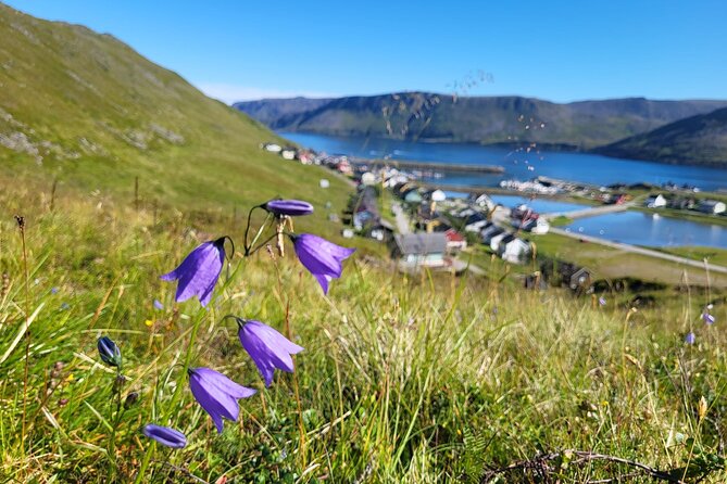 Taste of the Arctic - a Walk and Food Tasting in Skarsvåg Fishing Village - Good To Know