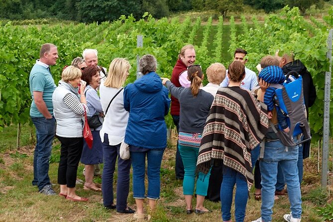 Tasting Unearthed Wine Tour and Explore Vineyard Lunch Included - Good To Know