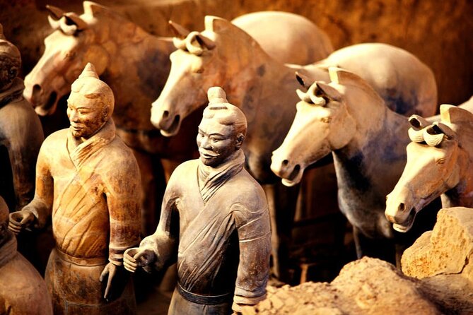 Terracotta Army Day Tour With Biangbiang Noodles Making Class - Good To Know