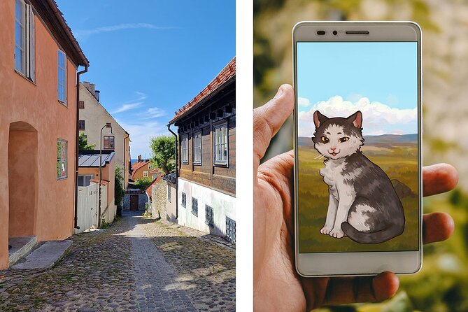The Battle of Visby Self-Guided Walking Tour Game - Good To Know