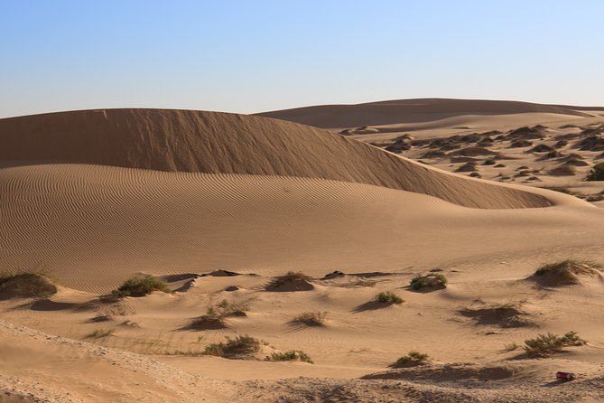 The Best of Nouakchott Tour by Car - Good To Know