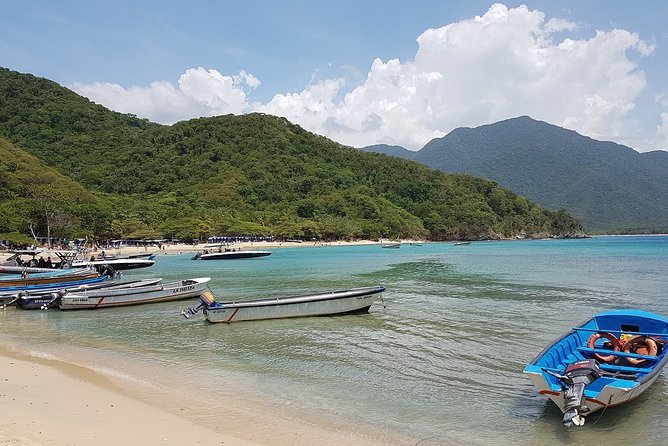 The Best of Santa Marta Walking Tour - Good To Know