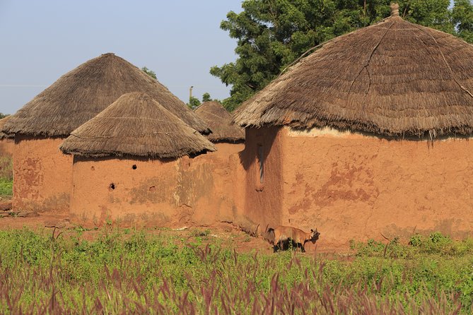 The Best of Tamale Walking Tour - Good To Know