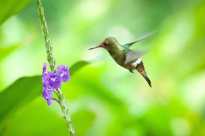 The Best of Tarapoto 4 Days and 3 Nights - Good To Know