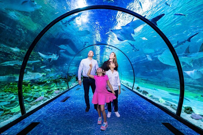 The National Aquarium Abu Dhabi - Good To Know