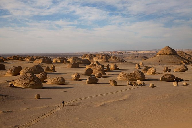 The Valley Of The Whales Two Days Tour From Hurghada With Camping - Good To Know