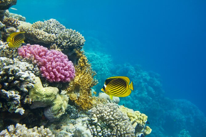 Tip of Borneo Kudat 3 Days Night Private Tour - Good To Know