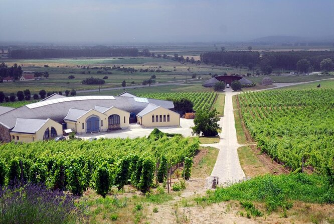 Tokaj Full Day Private Wine Tour From Budapest - Good To Know
