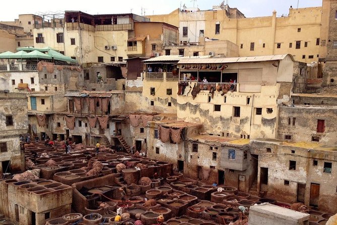 Top-Rated Attractions and Things to Visit in Fez With Your Private Local Guide