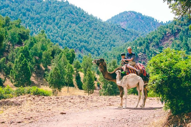 Toubkal National Park & Atlas Mountains Day Trip From Marrakech Including Lunch - Good To Know