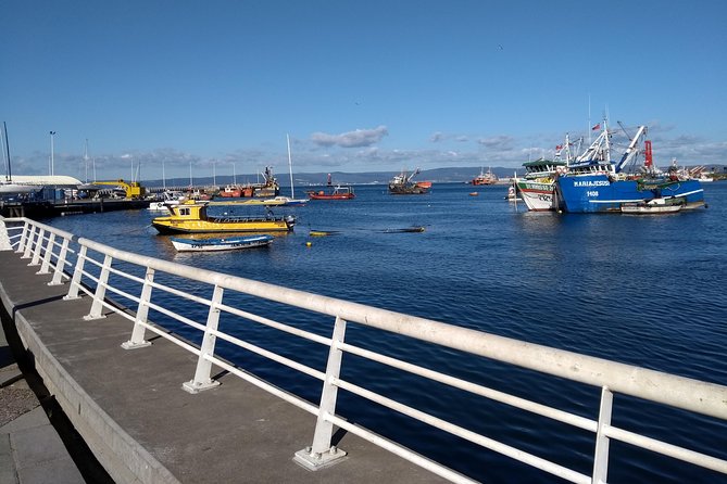 Tour Around the Port of Talcahuano - Good To Know