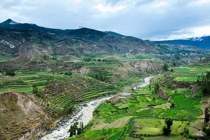 TOUR COLCA CANYON (FULL DAY) - Shared Service - Good To Know