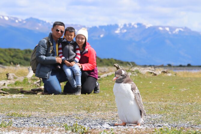 Tour From Ushuaia to Les Éclaireurs Lighthouse and Hike in Penguin Colony - Good To Know