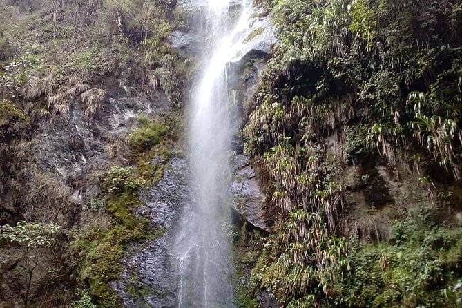 Tour Great Waterfall Cocora Valley - Overview of Cocora Valley Tour