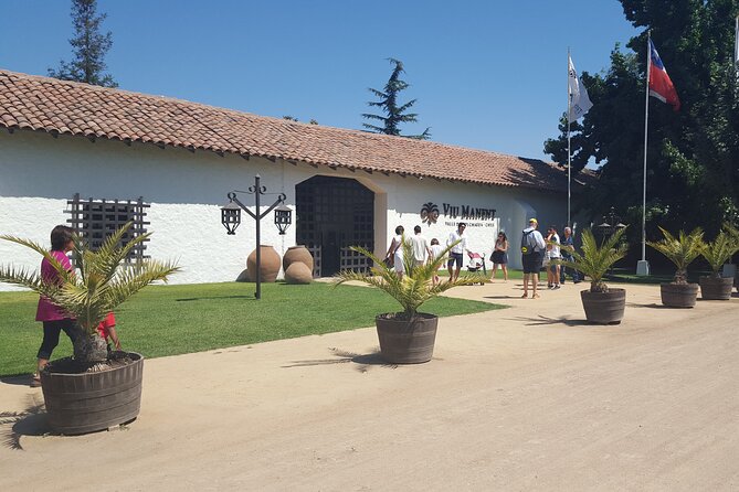 Tour in Colchagua Vineyards Montes and Vineyards Viu Manent - Good To Know
