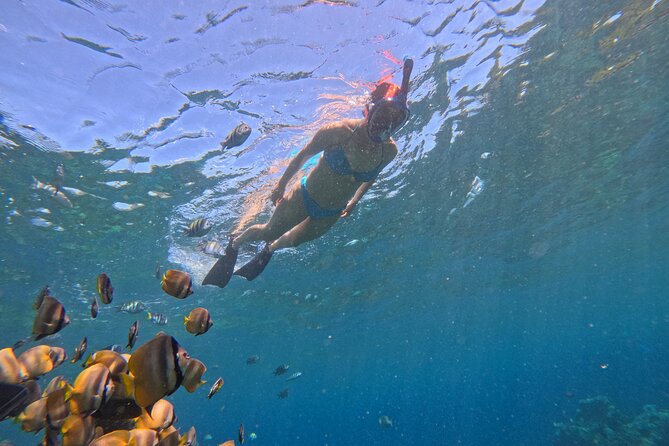 Tour Inclusive Over Night Nusa Penida Tour With Snorkeling - Good To Know