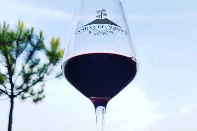 Tour of Pompeii With Tour Guide Plus Wine Testing and Lunch in a Winery Vesuvius - Tour Details