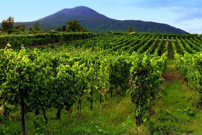 Tour of Sorrento Exploration+Wine Tasting With Lunch on Mt. Vesuvius (Full Day) - Good To Know