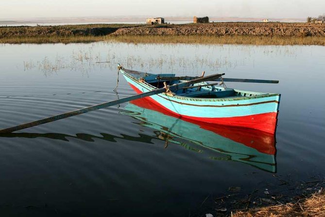 Tour to Fayoum Oasis and Wadi El Rian From Cairo - Good To Know