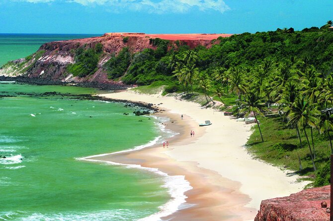 Tour To Pipa Beach From Natal - Transportation Information