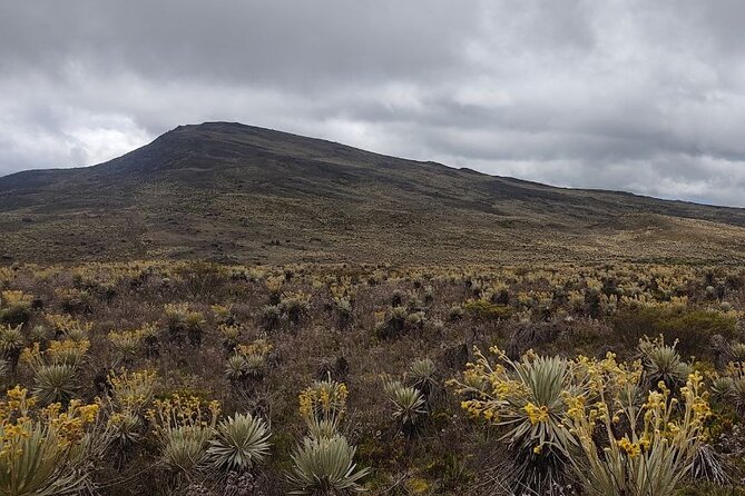 Tour to the Magical Moorland of Sumapaz - Birdwatching Unique Species - Good To Know