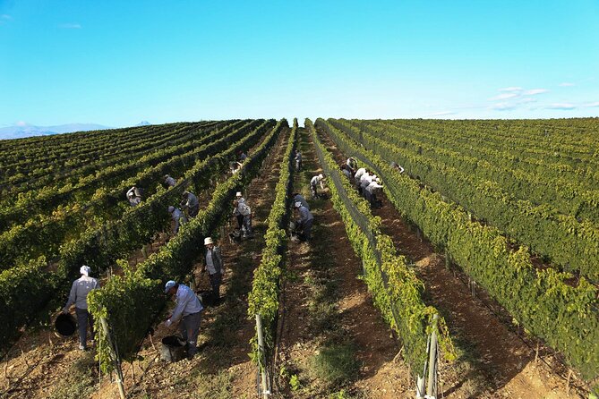 Tour to Vayots Dzor Noravank Khor Virap Areni Wine Learn a Craft Armenia Hiking - Tour Details
