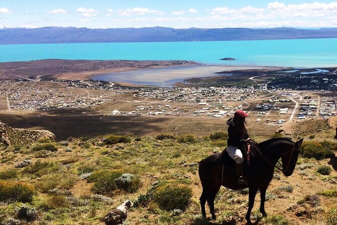 Tour With Patagonian Horseback Riding and Estancia Huyliche - Good To Know