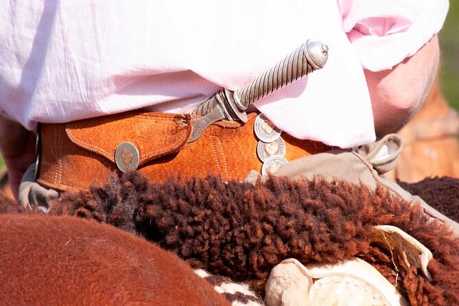 Traditional Gaucho Festival Full Day Tour From Buenos Aires - Good To Know
