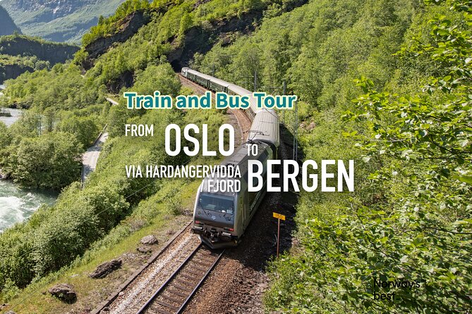 Train and Bus Tour From Oslo to Bergen via Hardangervidda/Fjord - Good To Know