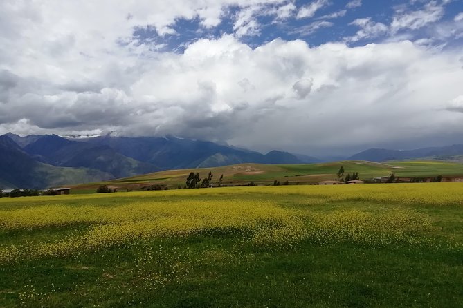 Transfer Cusco_Ollantaytambo or Vice Versa With City Tour and Pisac - Good To Know