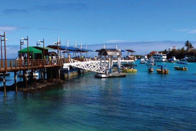 Transfer From Santa Cruz Island to Isabela Island - Good To Know