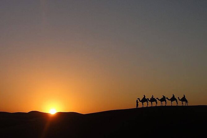 Transfer Morocco From Tangier