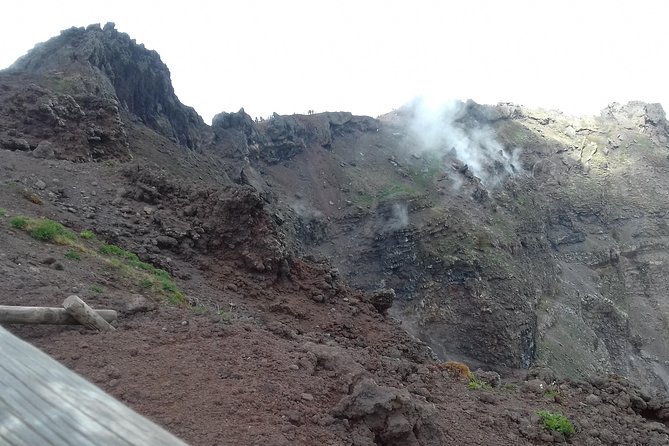 Transfer-Rome to Naples With a 2 Hour Stop in Mount Vesuvius or Vice Versa - Good To Know