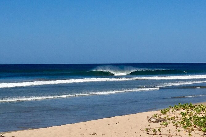 Transfer Service From Liberia Airport To Playa Nosara & Guiones Guanacaste - Good To Know