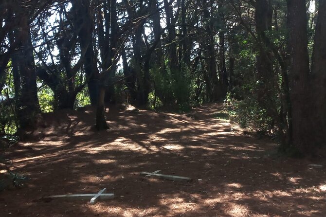 Travel Through the Mountains of Heredia and Alajuela. - Good To Know