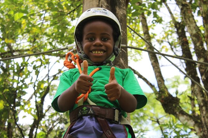 Tree Climbing Among the Araucarias - Good To Know