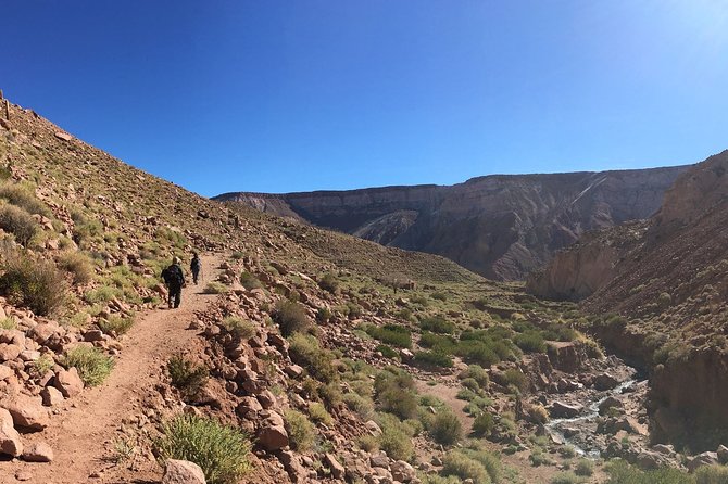Trekking Rio Salado From San Pedro De Atacama - Good To Know