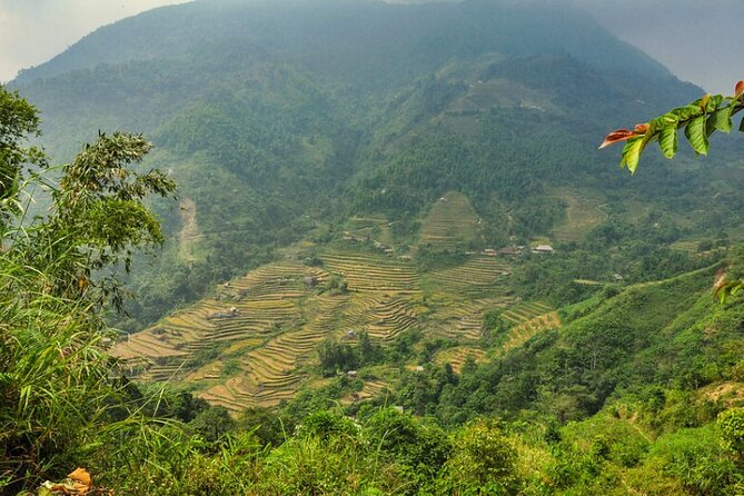 Trekking Through Hoang Su Phi Rice Fields 4 Days 3 Nights - Good To Know