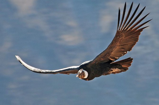 Trekking to the Canyon of Condors Llahuar-Fure-Oasis 4d-3n - Good To Know