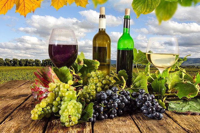 Trending Georgia - Private Wine Tour to Kakheti - Overview of the Tour