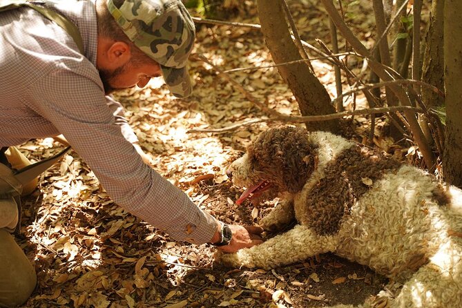 Truffle Hunting in Tuscany With Tasting - Private - Good To Know