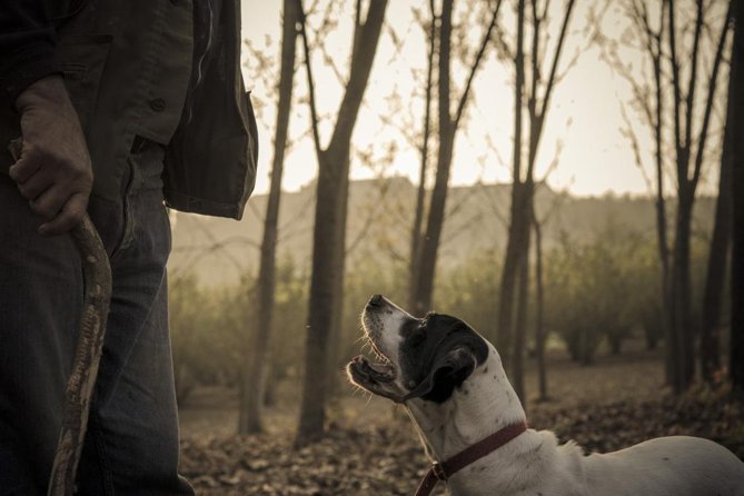 Truffle Hunting & Wine Tasting In Istria (private V.i.p. Tour) - Good To Know