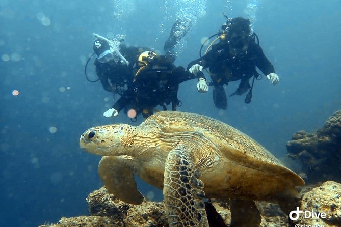 TRY SCUBA (Non Diver) - Good To Know