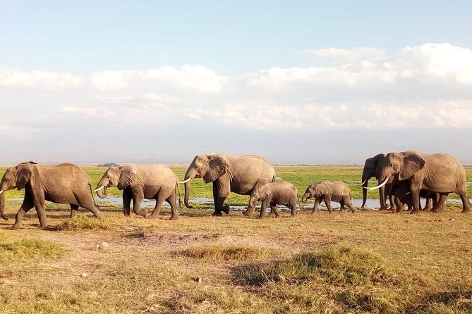 Tsavo and Amboseli National Park 3 Days Safari